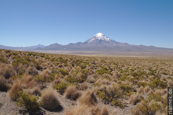 Nevado Sajama (6542 m)