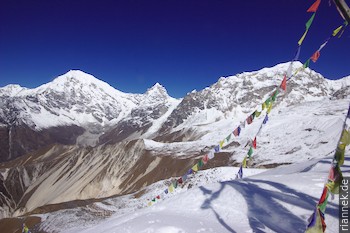 Langtang Lirung (7234 m), Kimshung (6760 m) und Dragpoche (Yansa Tsenji, 6562 m) vom Tsergo Ri