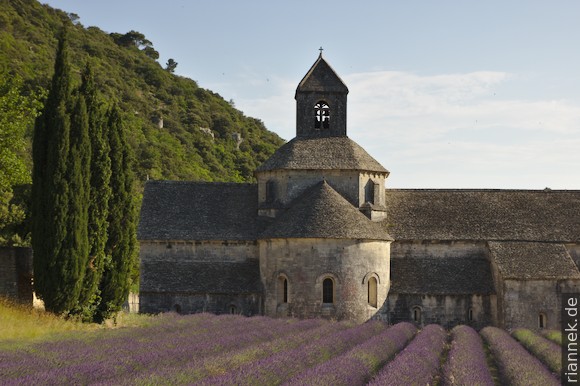 Notre-Dame de Sénanque mit Lavendel