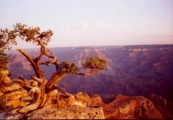 Grand Canyon