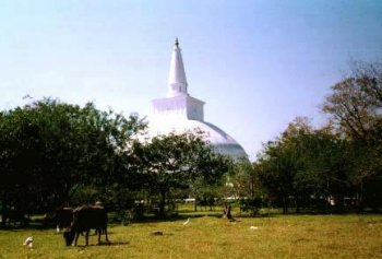 Anuradhapura