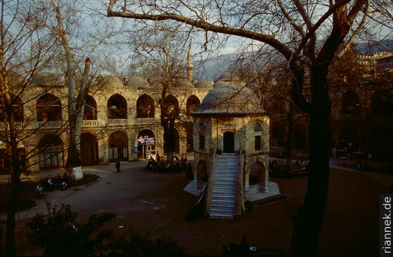 Bursa