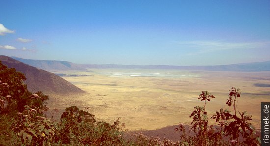 Ngorongoro