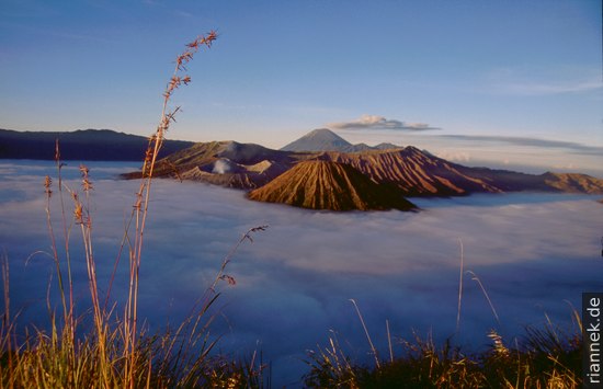 Bromo & Semeru