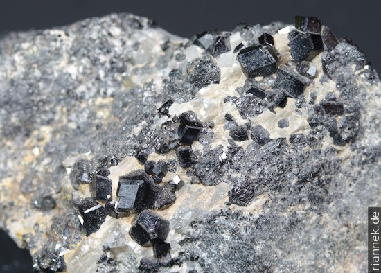  Melanit (bzw. Schorlomit) in Calcit Melanit (bzw. Schorlomit) in Calcit     Aus dem alkalinen Tamazeght-Komplex, Marokko. Breite ca. 5 cm. 