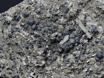 Magnetite on wollastonite