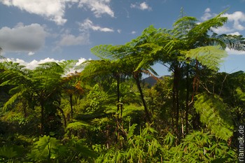 Parque National Alejandro de Humboldt
