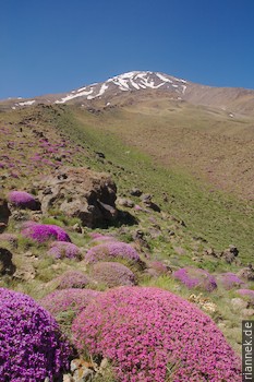 Damavand