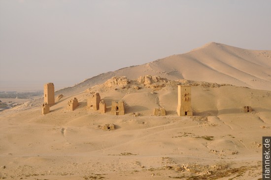 Palmyra