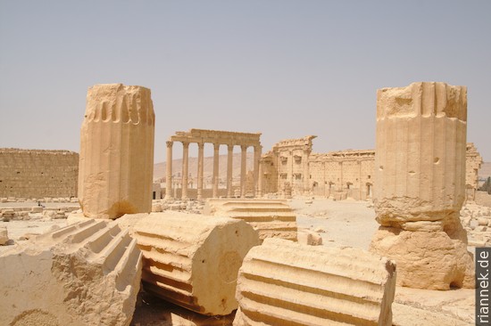 Palmyra