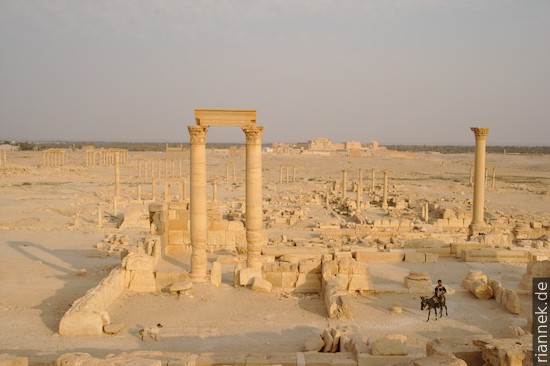 Palmyra