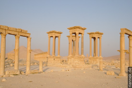 Palmyra