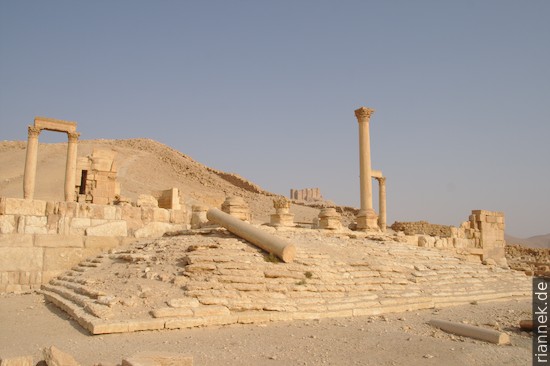 Palmyra