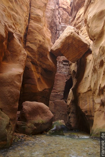 Schlucht im Wadi Mujib Reservat