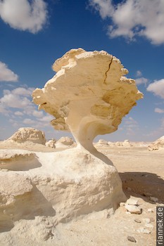 White Desert