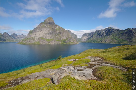 Reinefjord