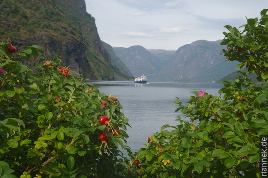 Aurlandfjord near Flåm