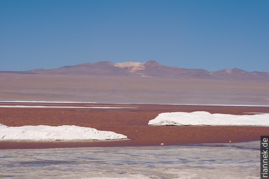 Laguna Colorada