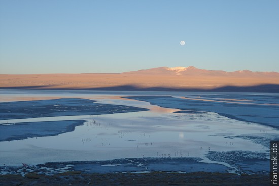 Mondaufgang an der Laguna Colorada