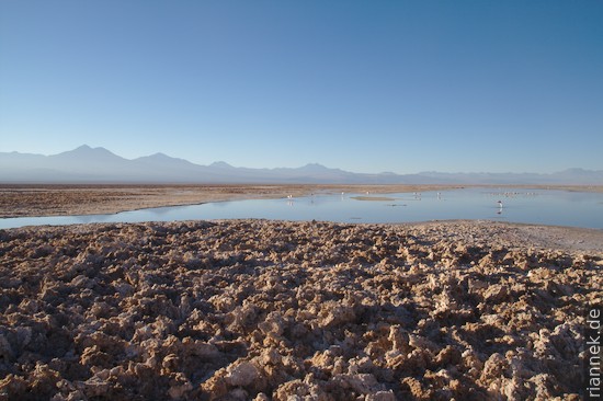 Salar de Atacama