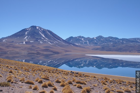 Laguna Miscanti und der gleichnamige Vulkan