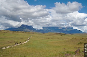 Kukenan and Roraima