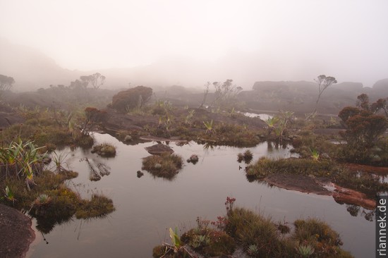 Abendnebel auf dem Roraima