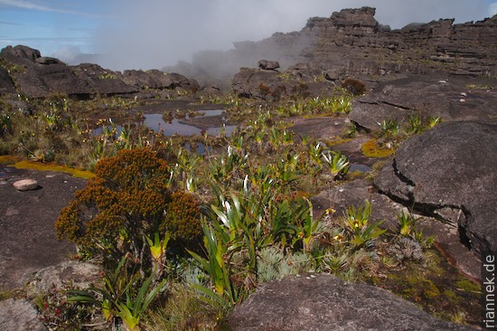 Roraima Tepui