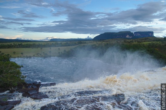 Salto Sapo