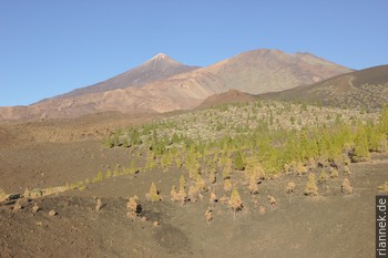 Teide and Pico Viejo from Montaña Somara