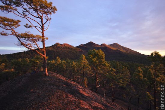 Volcan Martin im Morgenlicht Von der Montaña la Semilla Fuego