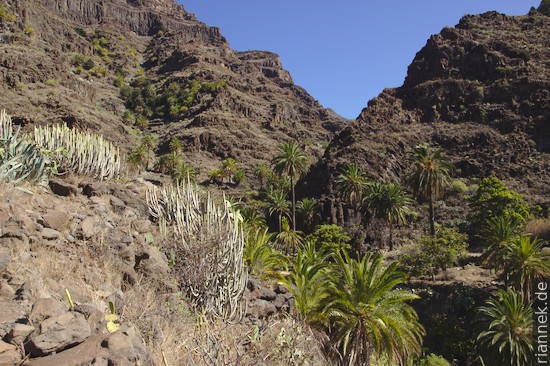 Path to the waterfall, Valle Gran Rey