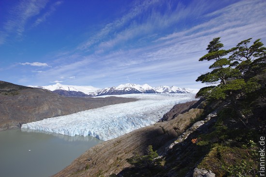 Grey-Gletscher