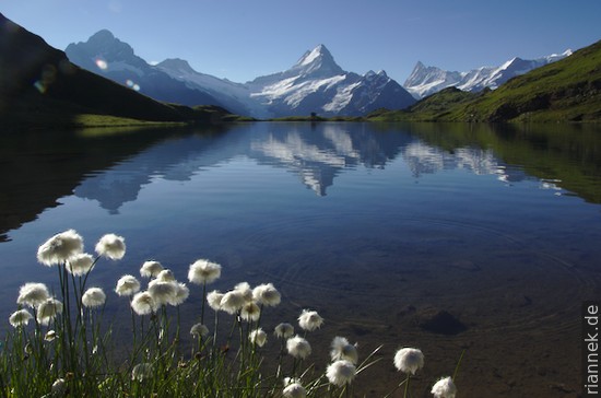 Bachalpsee with Wetterhorn, Schreckhorn, Finsteraarhorn, Fiescherhörner, Switzerland