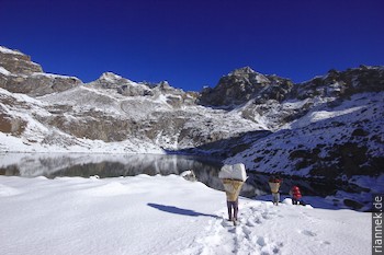 Porter on Renjo La in Nepal 