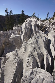 Karren, Nördlicher Velebit