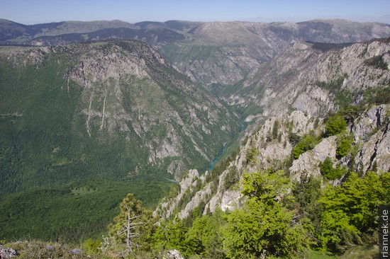 Tara-Schlucht von Curevac