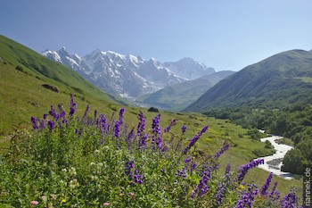 Dzangitau und Shkhara vom Tal oberhalb Khalde