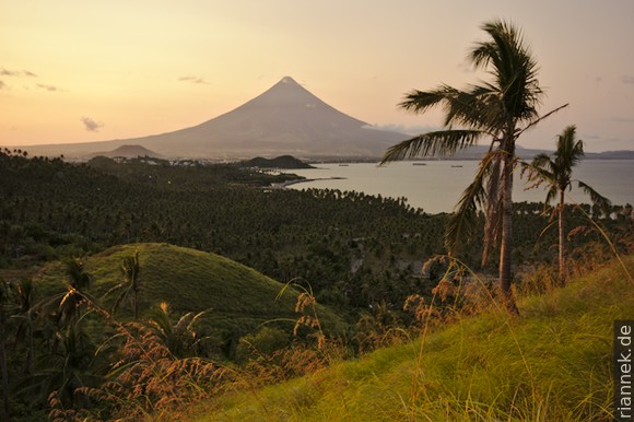 Mayon