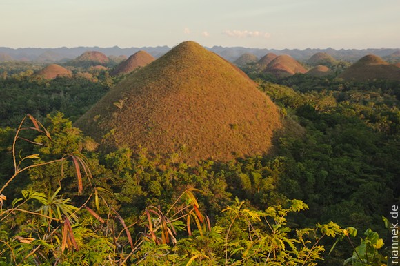 Chocolate Hills