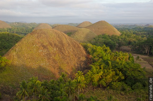 Chocolate Hills