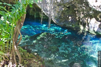 Gran Cenote near Tulum