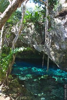 Gran Cenote bei Tulum