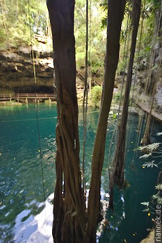 Cenote X’Canché bei Ek'Balam, Valladolid