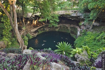 Cenote Zaki in Valladolid