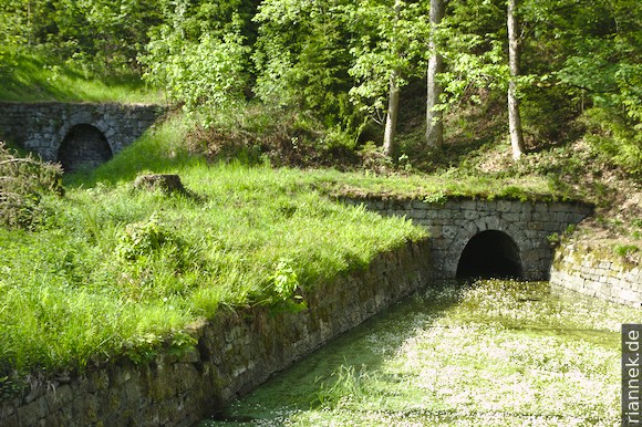 Hutthaler Widerwaage, Oberharzer Wasserregal