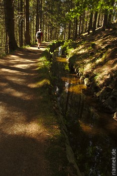 Dammgraben, Oberharzer Wasserregal