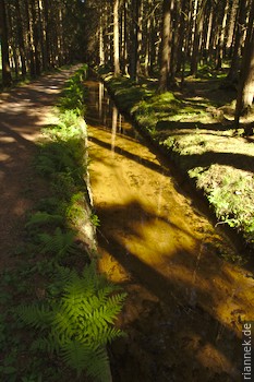 Dammgraben, Upper Harz Water Regale