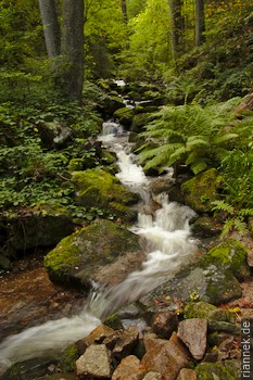 Windbergschlucht