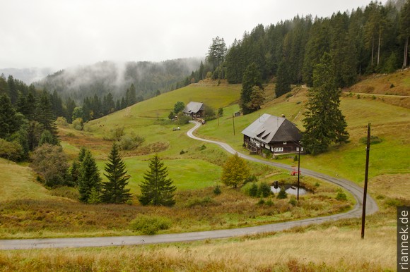 Muchenland, Black Forest
